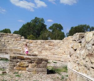 545031141 1210445487557464 7175831252046539432 n