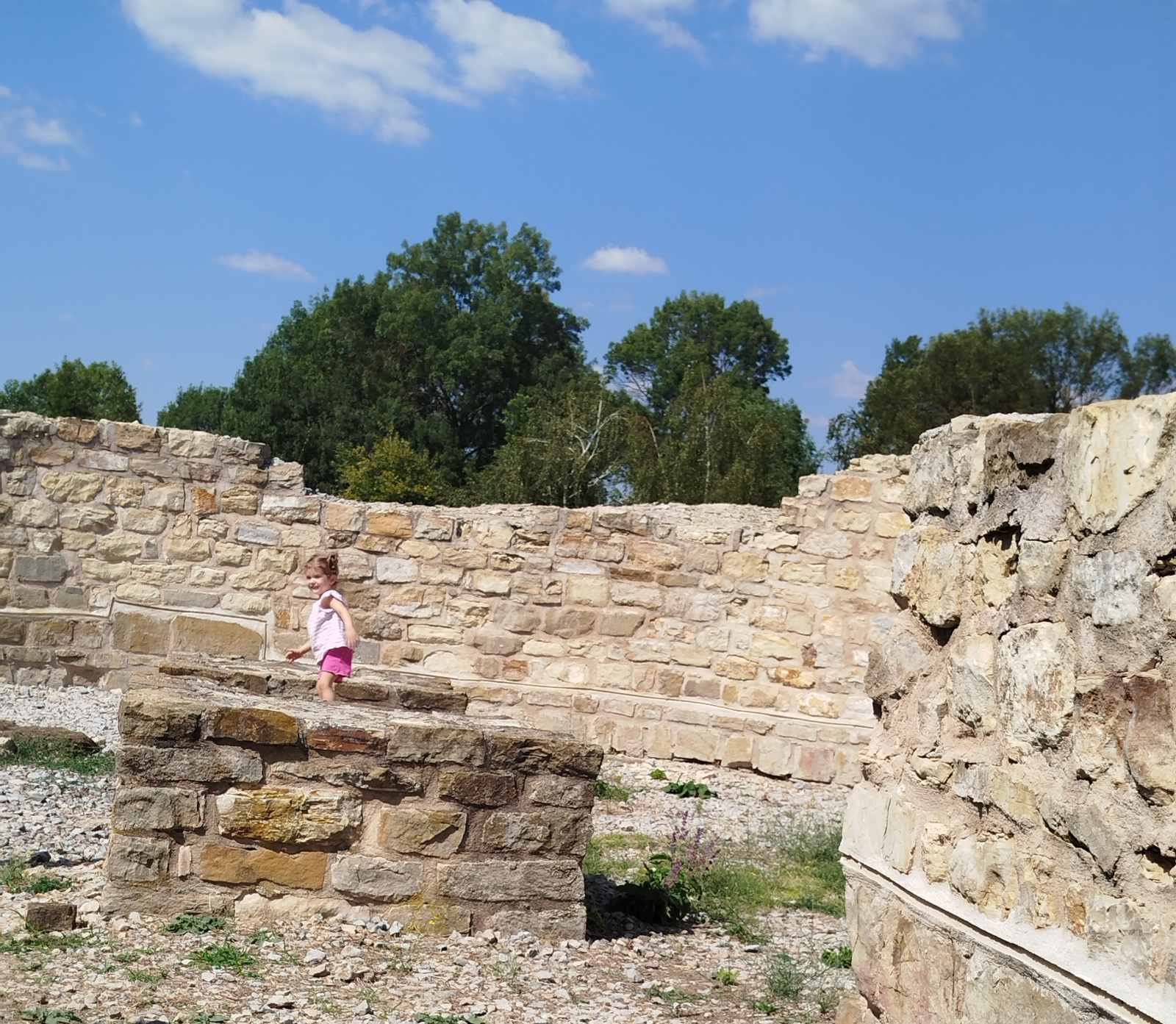 545031141 1210445487557464 7175831252046539432 n