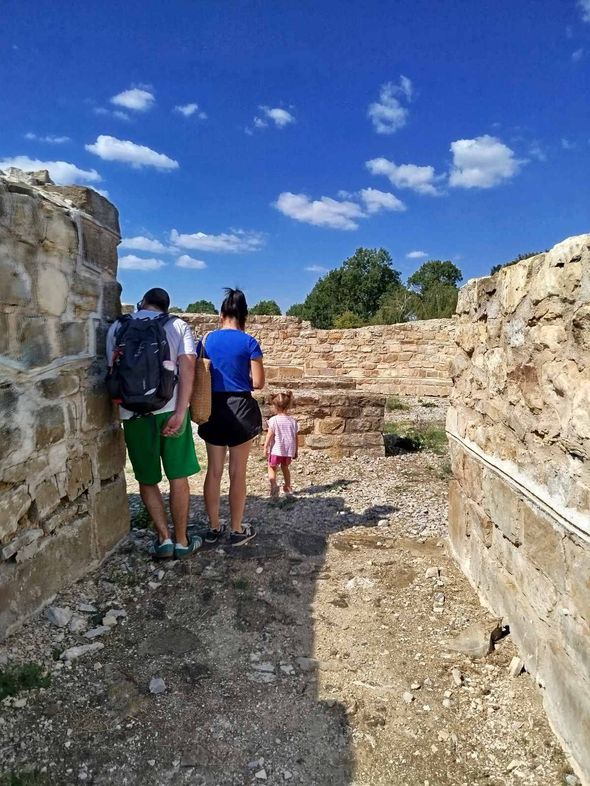 545517233 1210445440890802 1032006841670885912 n