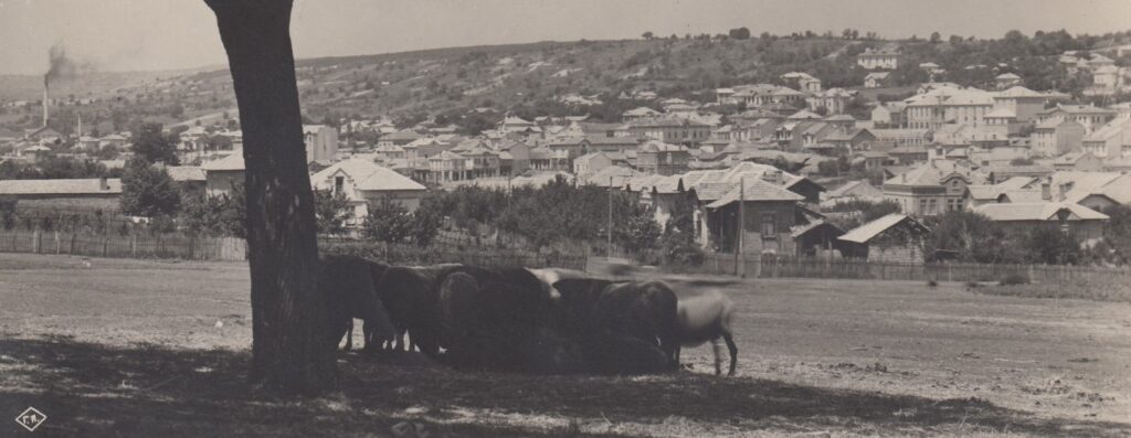 Стопанска дейност