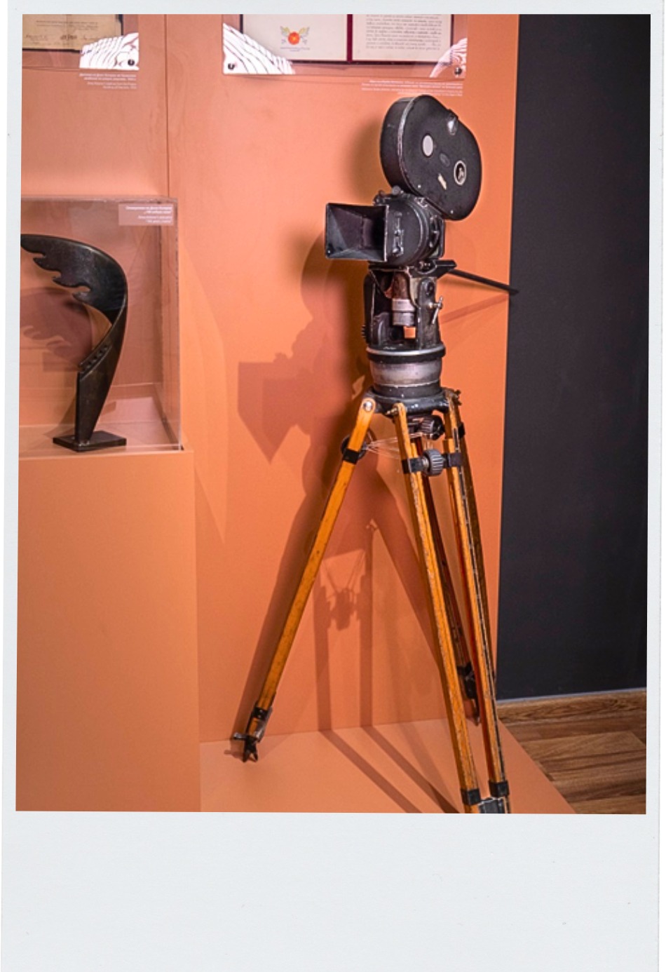 556227872 1228302692438410 1612792070818473111 n