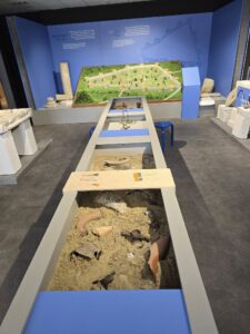 558943814 1236191864982826 32389342455741372 n