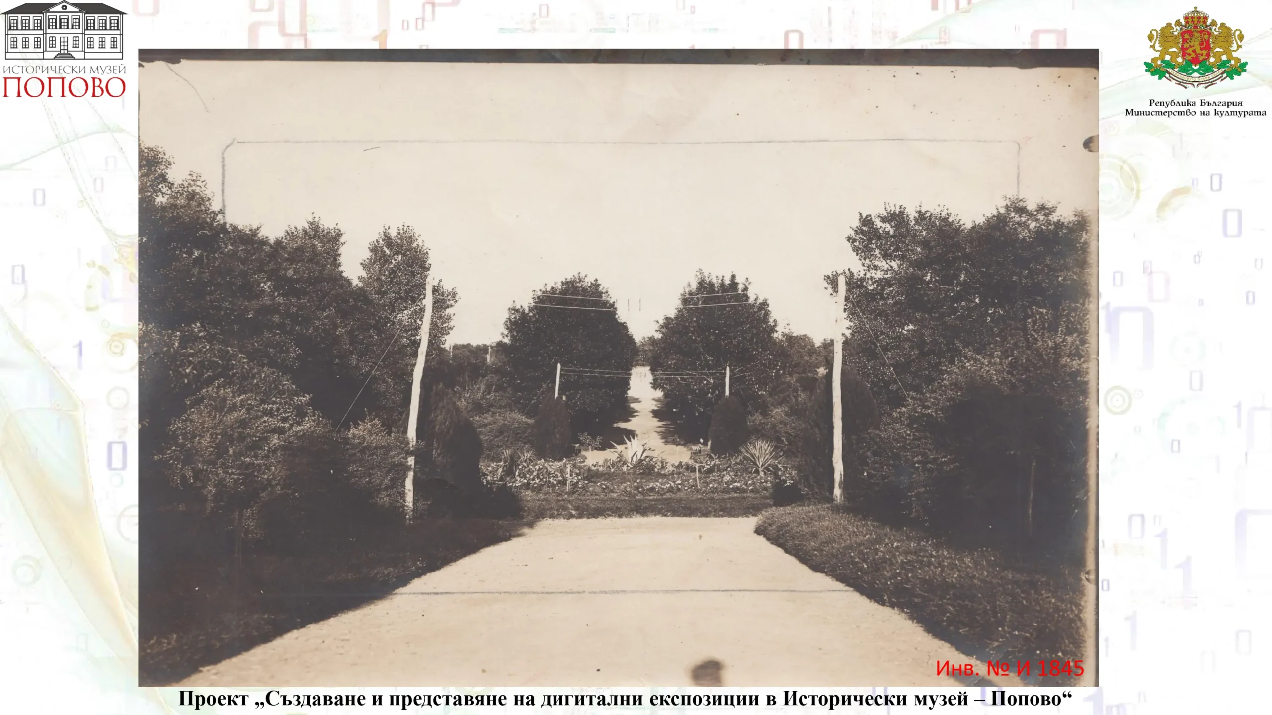 Градска градина page 18