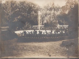 Градска градина